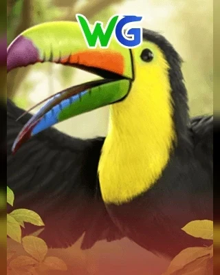 Fortune Toucan