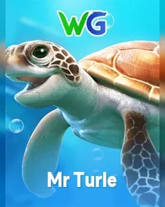 Mr Turtle
