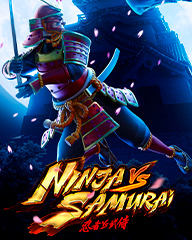 Ninja vs Samurai